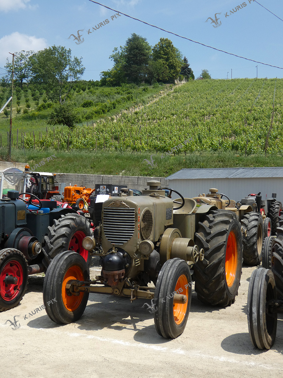 Vintage tractors